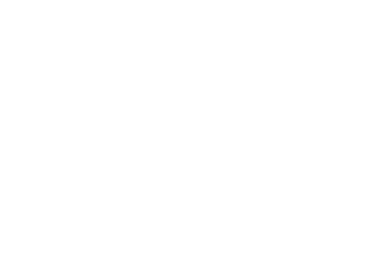 kurven-sicher.de